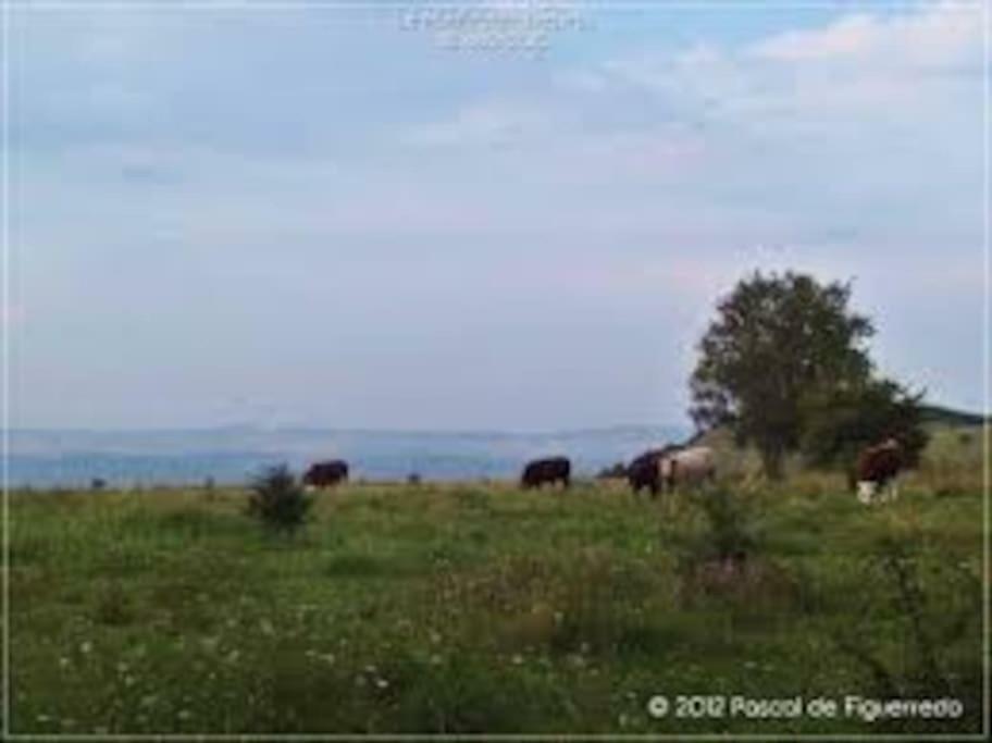 Villa La Ferme Des Pierrettes Menneville Exterior foto